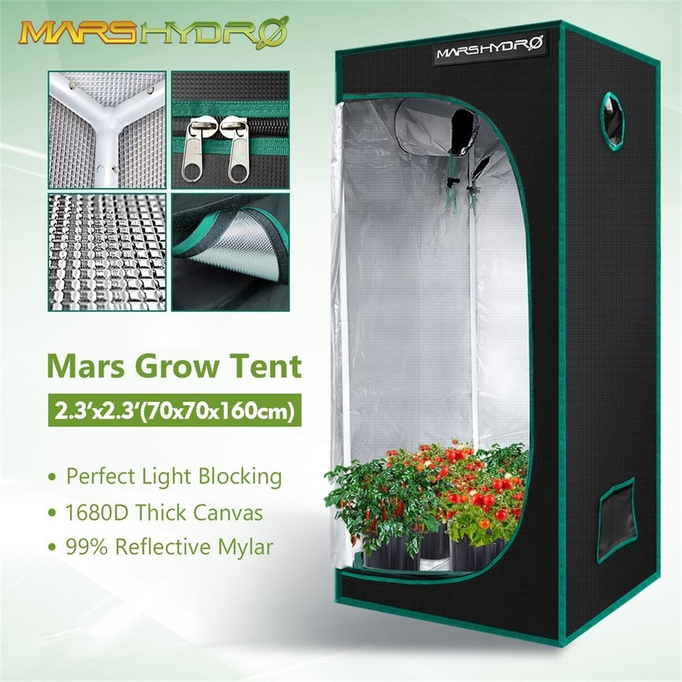 Hydroponic Plant Green House